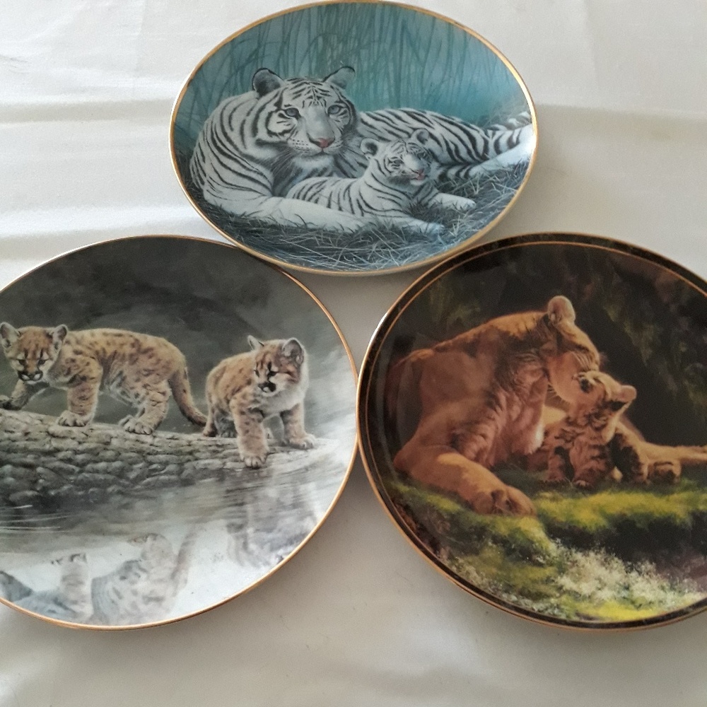 Set of 3 porcelain collection porcelain plates